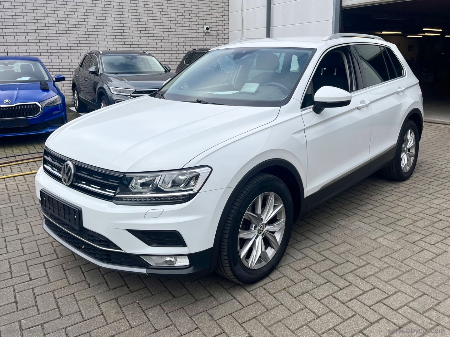 VOLKSWAGEN Tiguan