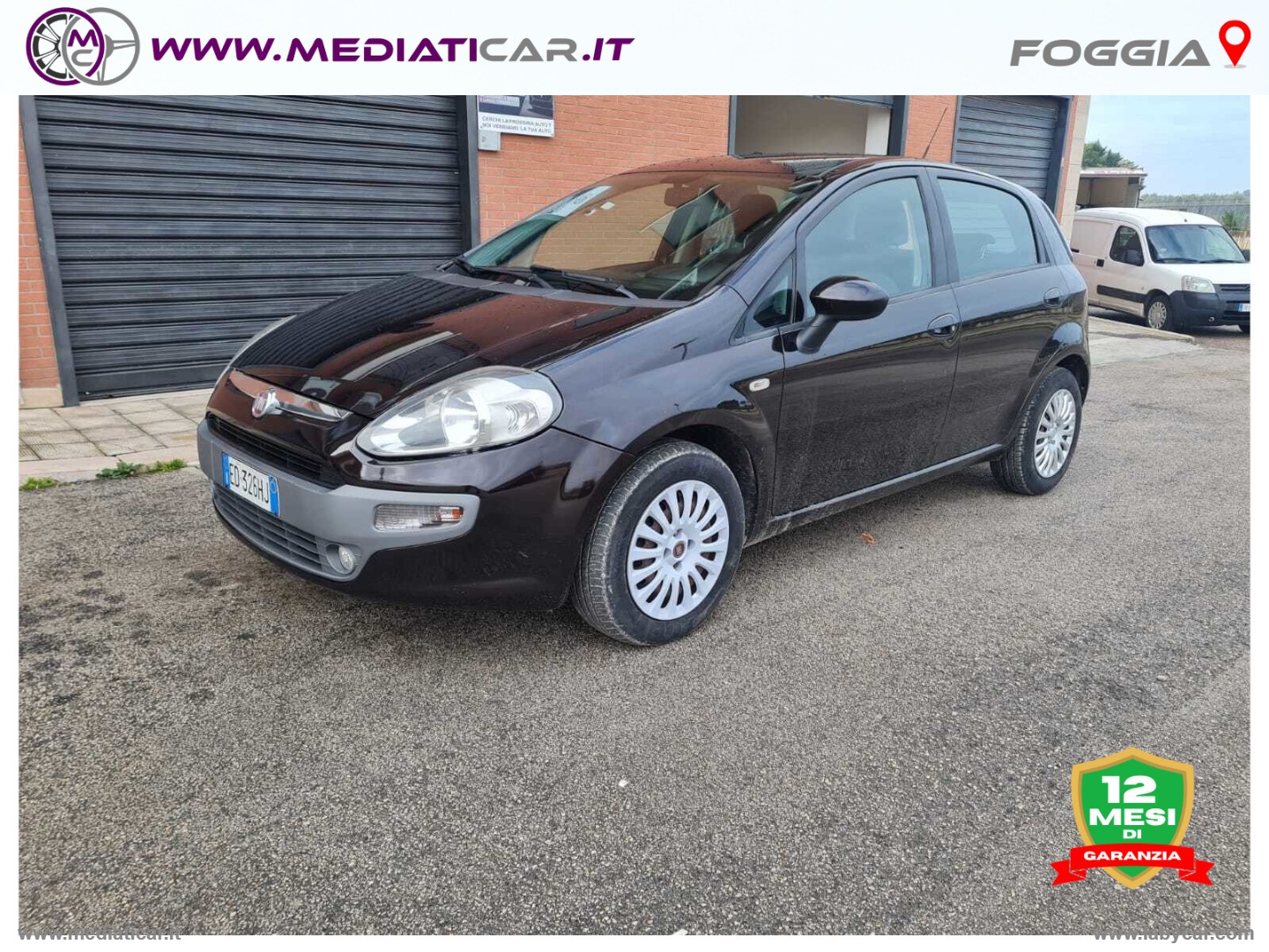 FIAT Punto Evo 1.3 Mjt 75 CV 5p. Dynamic 